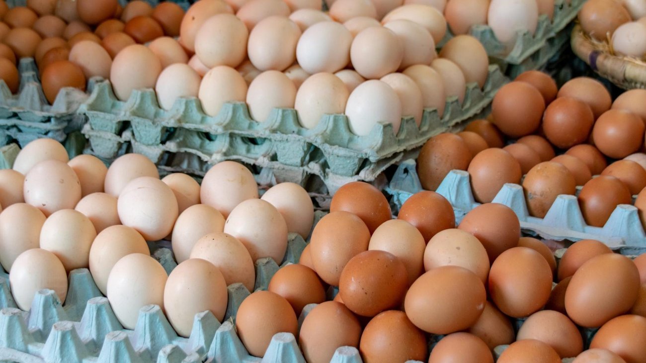Retiran 1.5 millones de docenas de huevos por salmonela en EUA