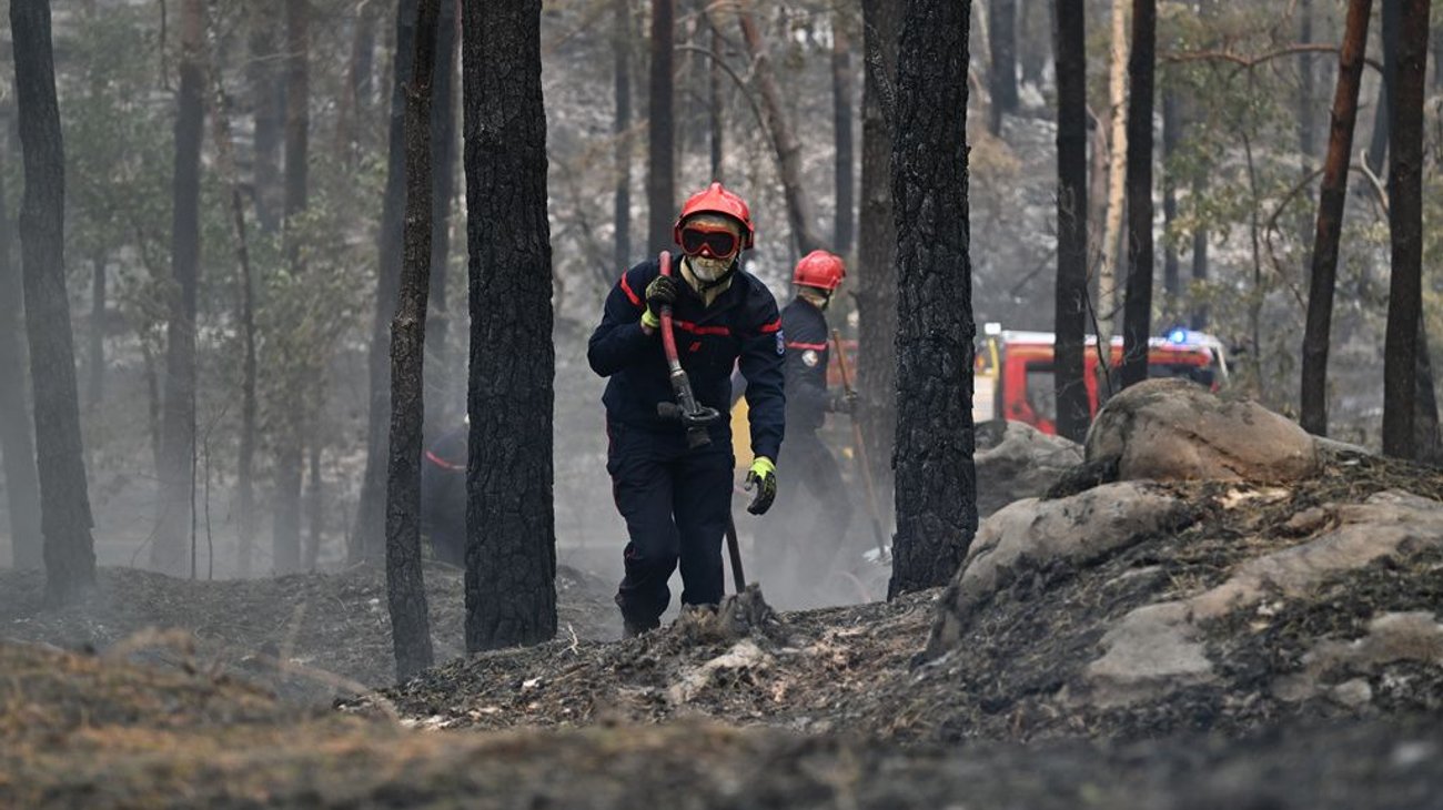 Suman 25,000 hectáreas forestales quemadas en el centro de España