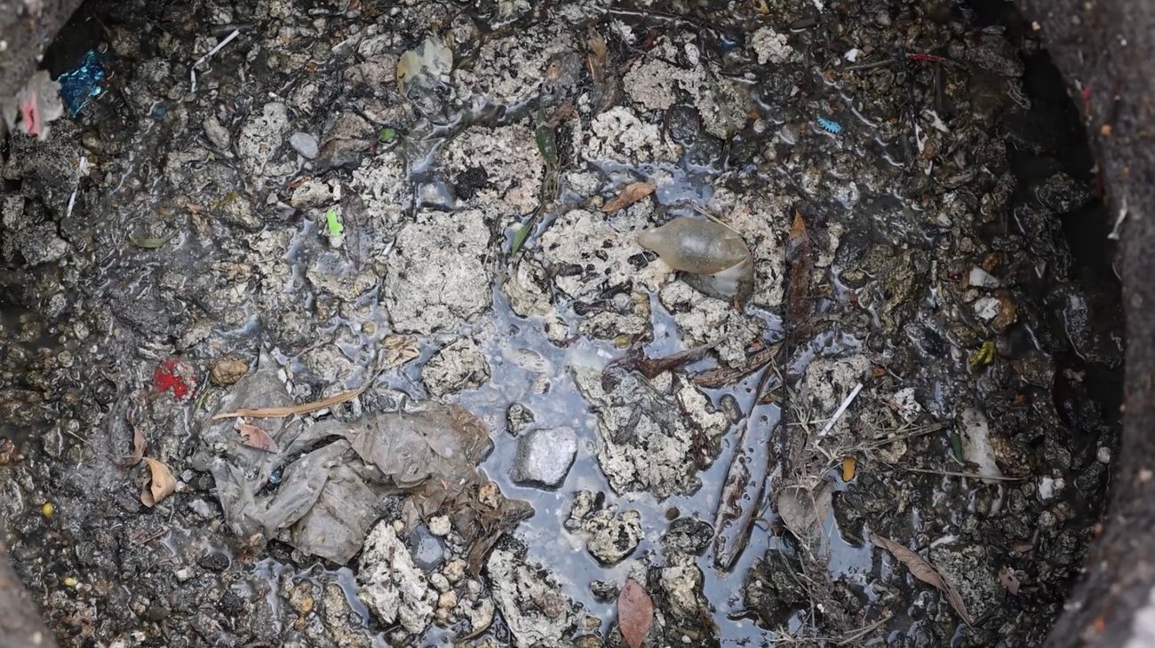 image00004_1_0c690920cb