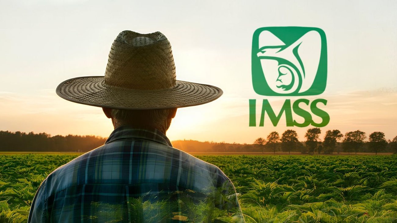 imss_migrantes_bbae5b0cb1