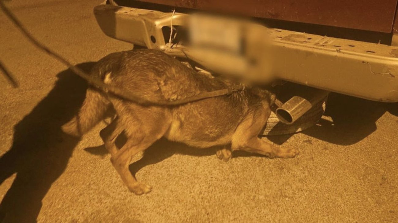 Incauta Policía de Coahuila 21 kg de metanfetamina