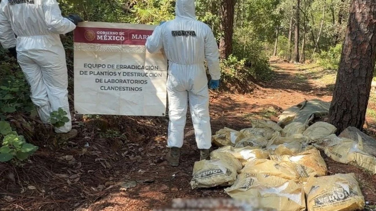 Decomisan 1.5 toneladas de droga en narcolaboratorios en Durango