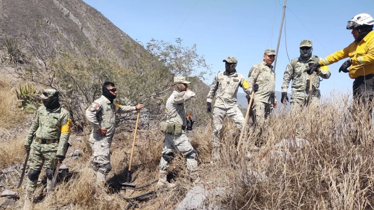 Incendio forestal consume ocho hectáreas del cerro de El Fraile