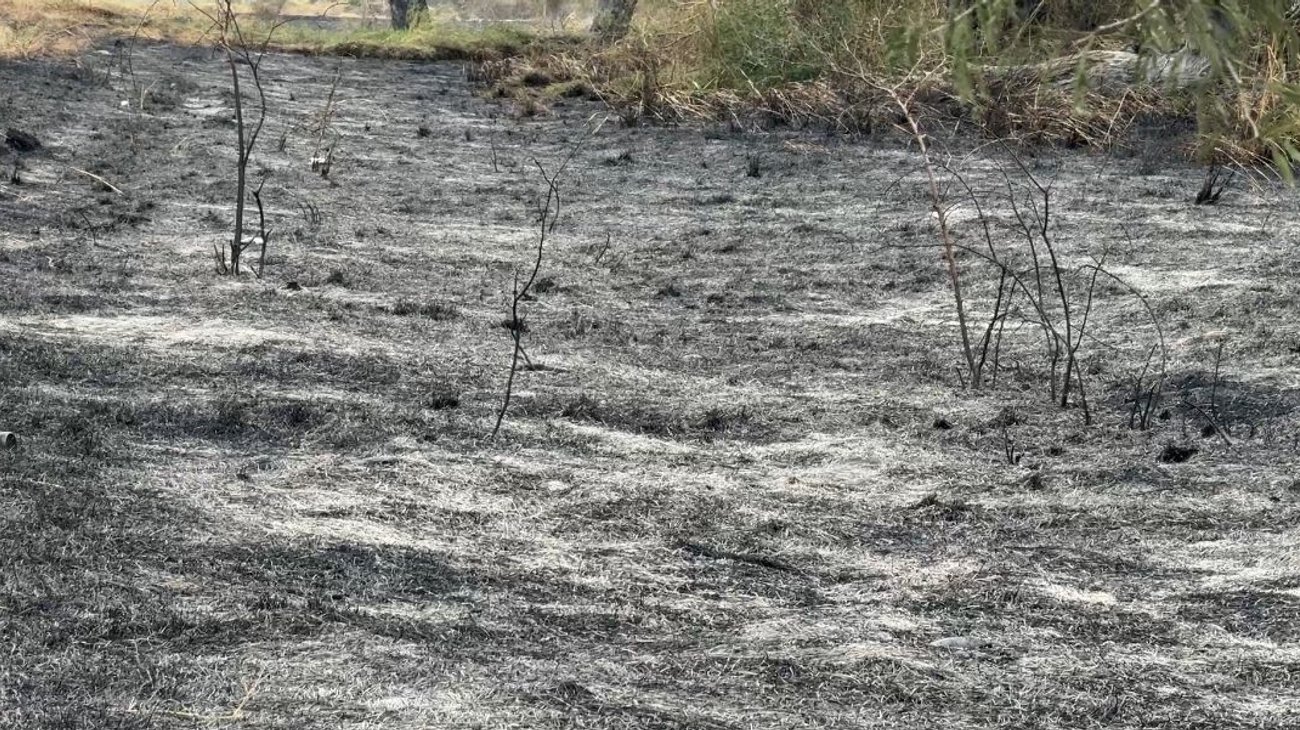 Liquidan incendio forestal en Bustamante; afecta 32 hectáreas 