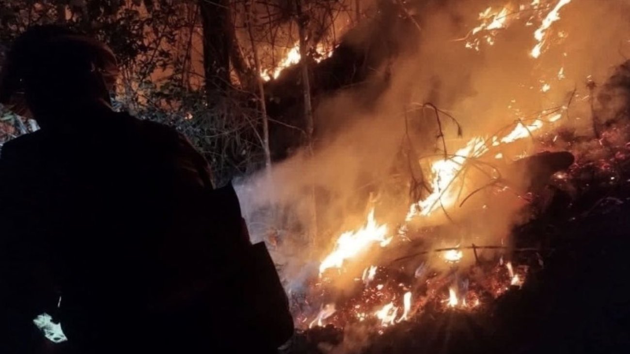 Incendio devora 190 hectáreas en la sierra de Hidalgo
