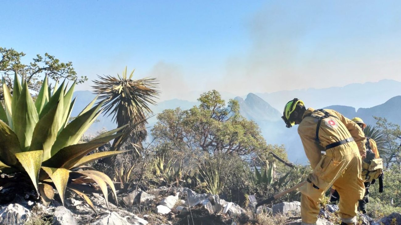 Incendio en Santiago lleva 800 hectáreas consumidas
