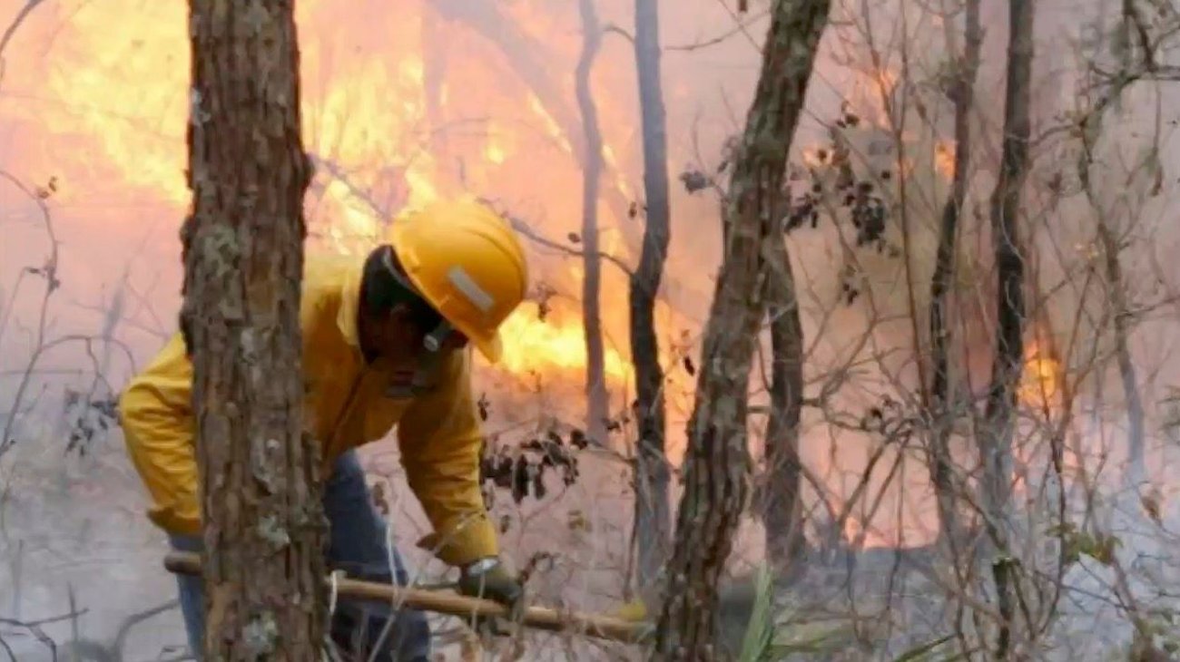 Confirman incendio forestal en la sierra de Jaumave 