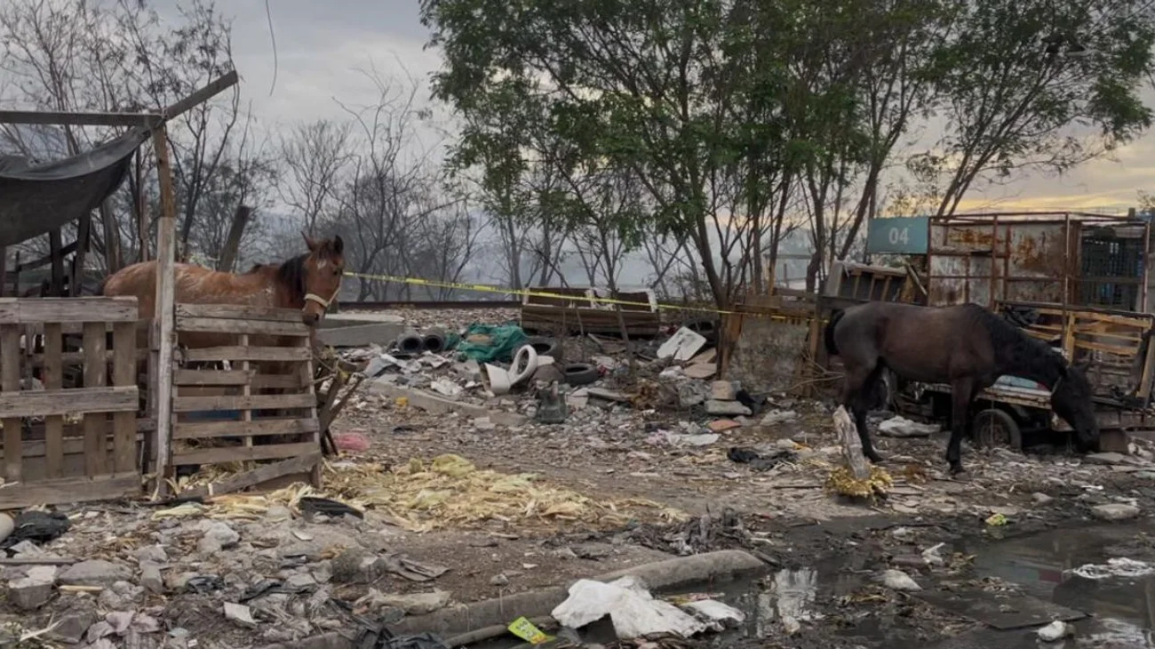 Controlan autoridades incendio en lote de Guadalupe