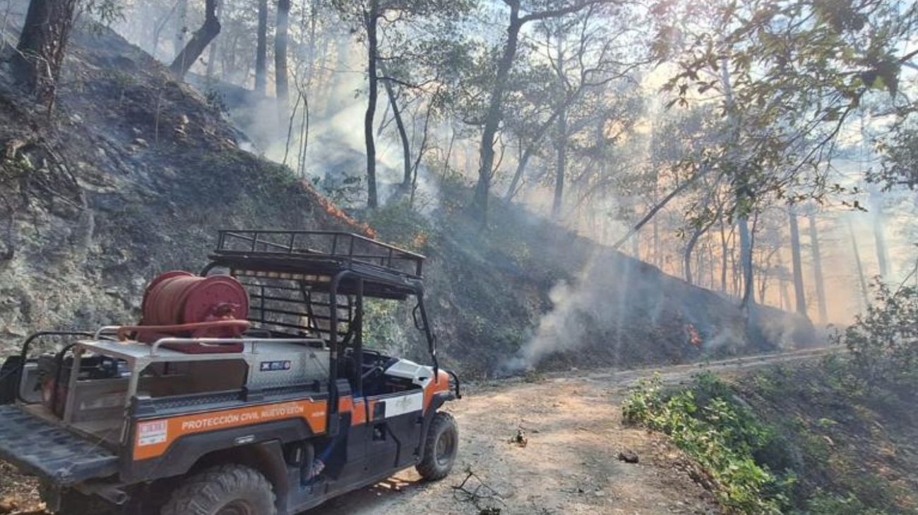 Multas por provocar incendios forestales aumentarán 2,000%