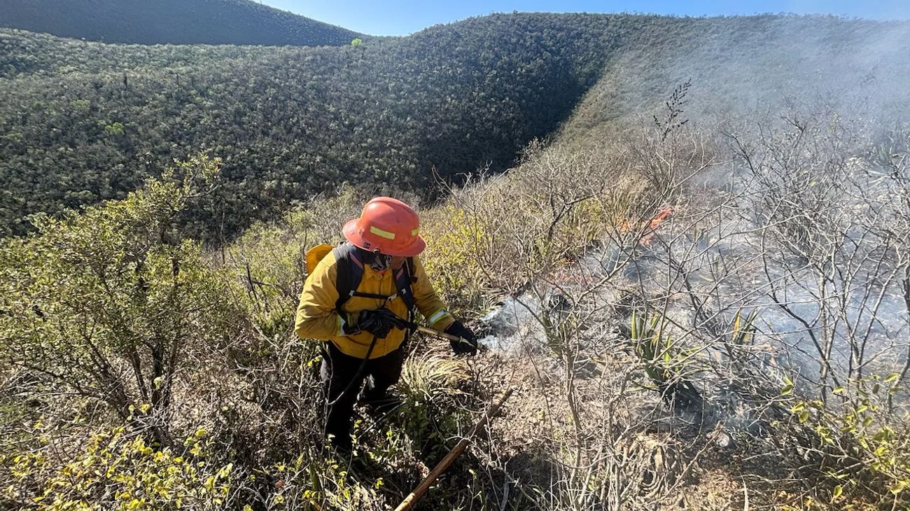 incendio_sierra_picachos_marzo_53b83aedb6