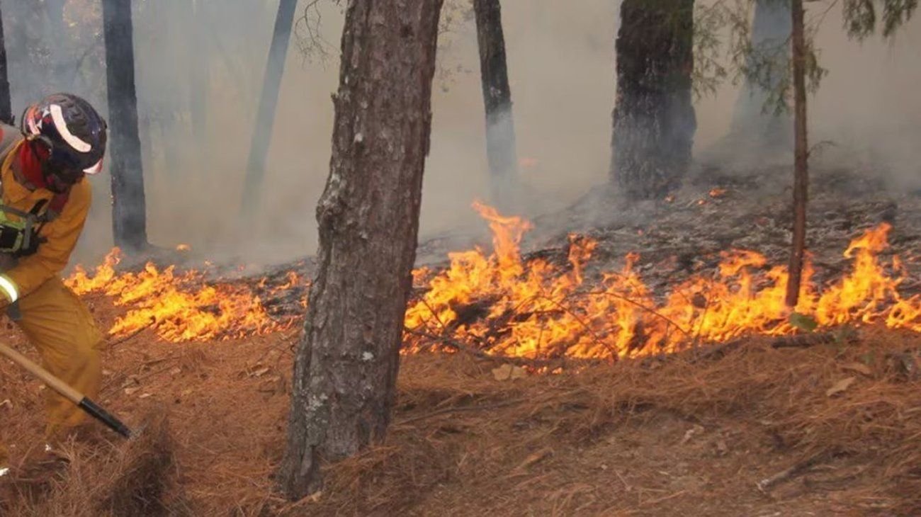 Alerta por alto riesgo de incendios ante calor extremo en NL