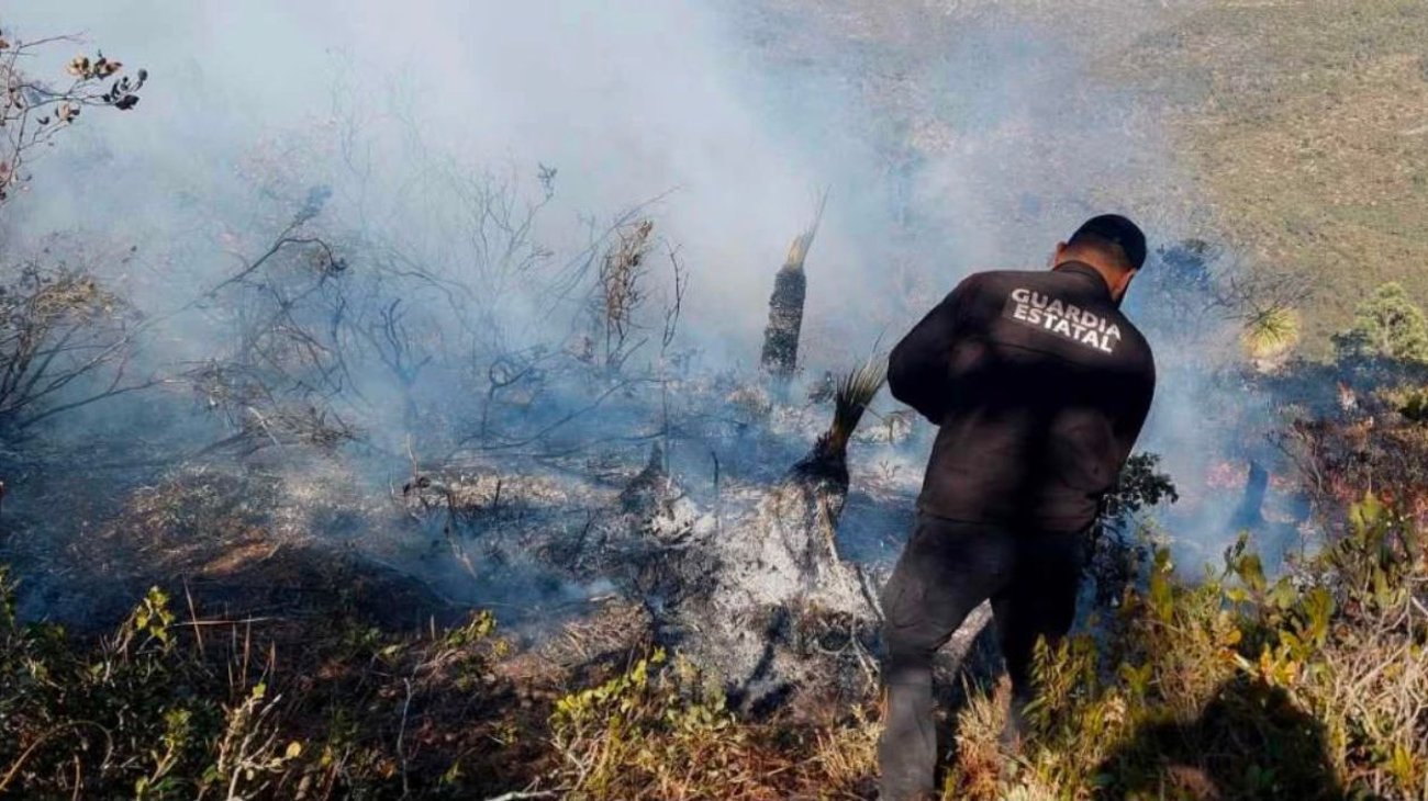 Incendios forestales se incrementan en Tamaulipas