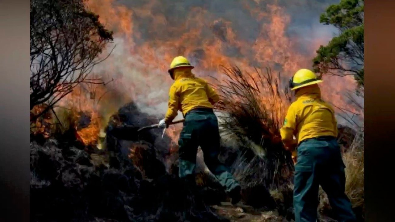 Reportan 28 incendios forestales en Tamaulipas en 2024