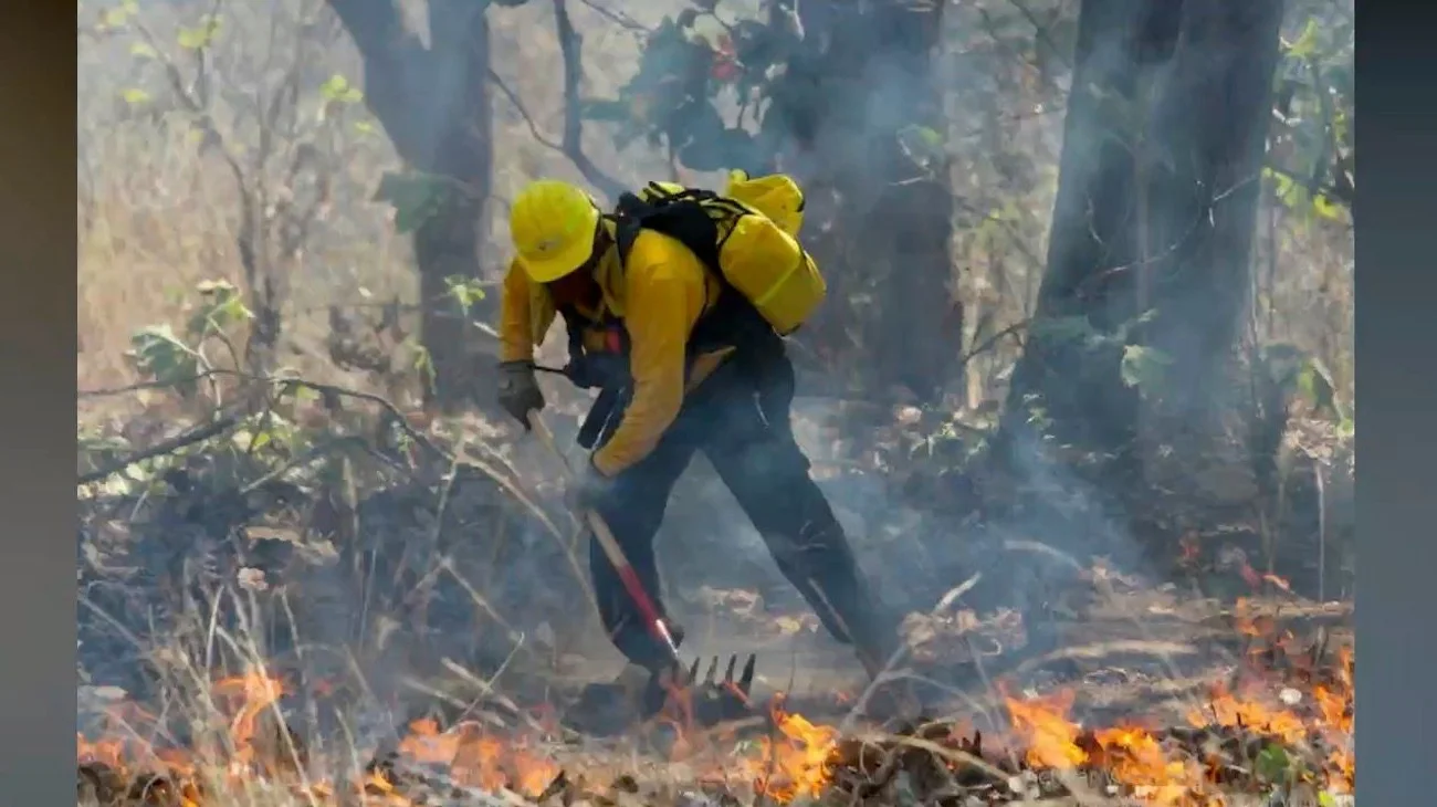 Afectan 4,500 hectáreas tres incendios forestales en Tamaulipas
