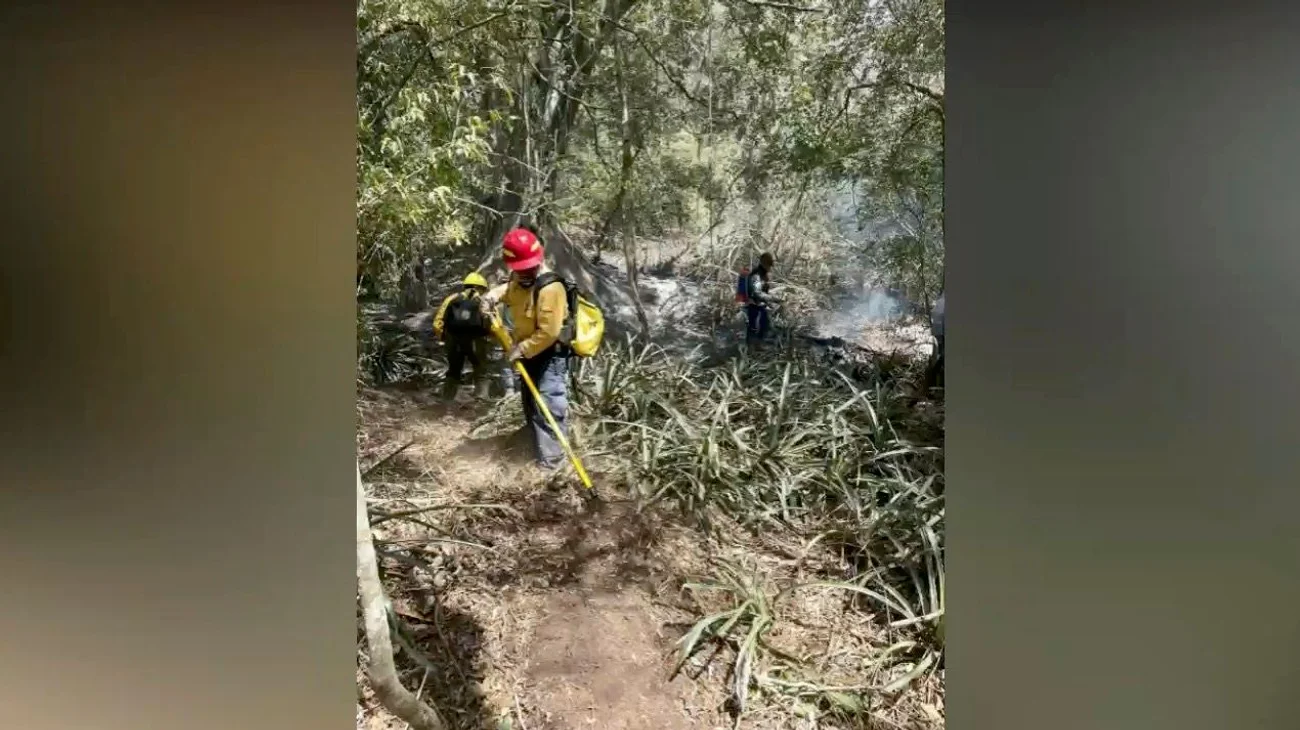 Exhortan autoridades a evitar quemas agrícolas y de basura