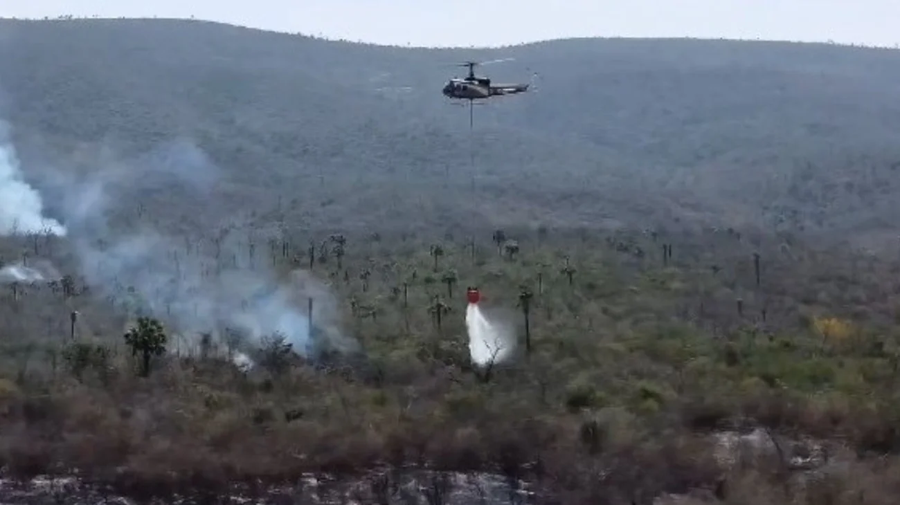 Intensifican trabajos para combatir incendios en Tamaulipas