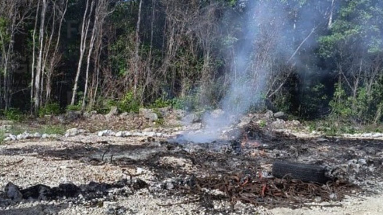 Destruyen más de 150 kilos de narcóticos en Quintana Roo