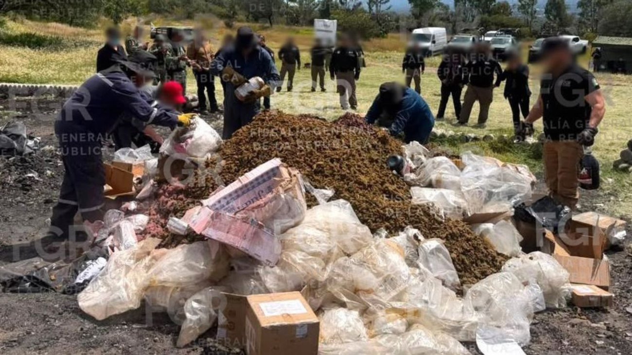 Incineran más de media tonelada de drogas en Edomex