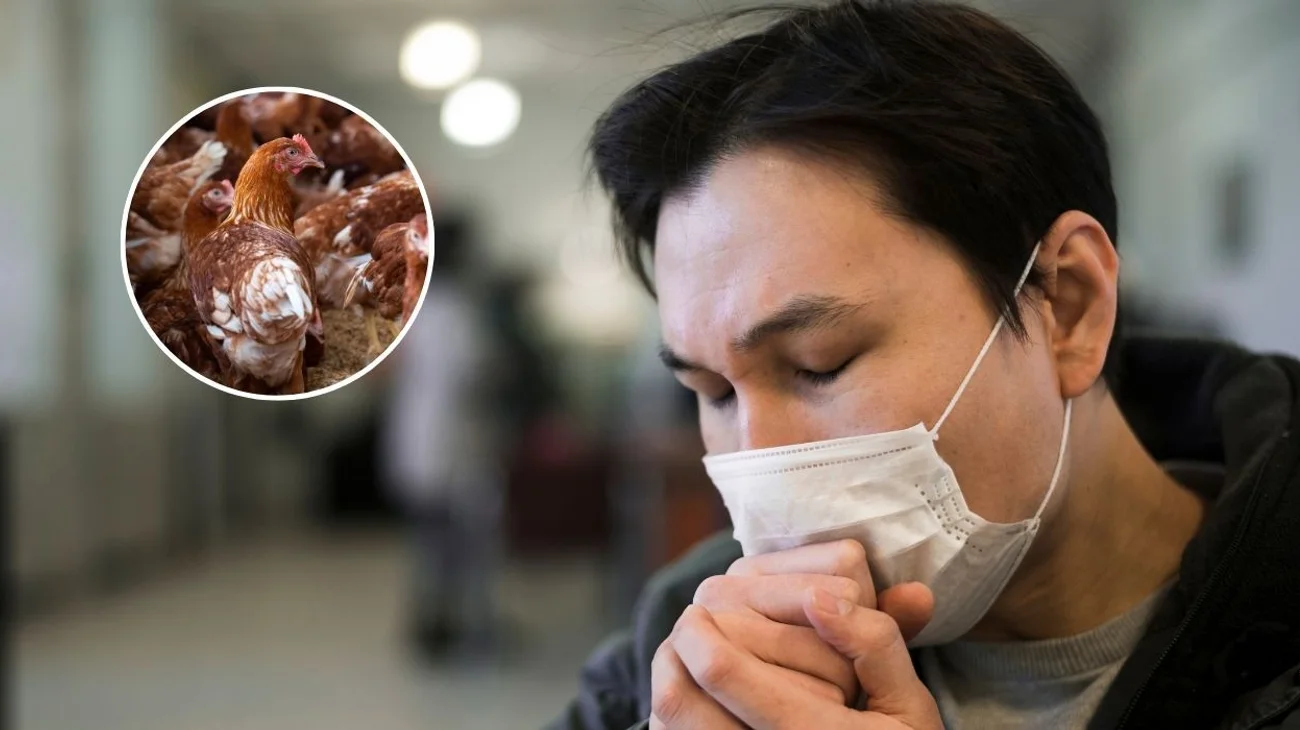 Influencia aviar ¿Próxima Pandemia? esto dicen expertos