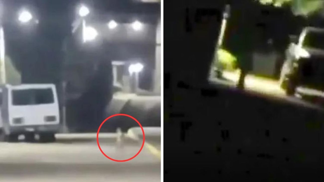 Captan a diminutos seres extraños caminando por la calle