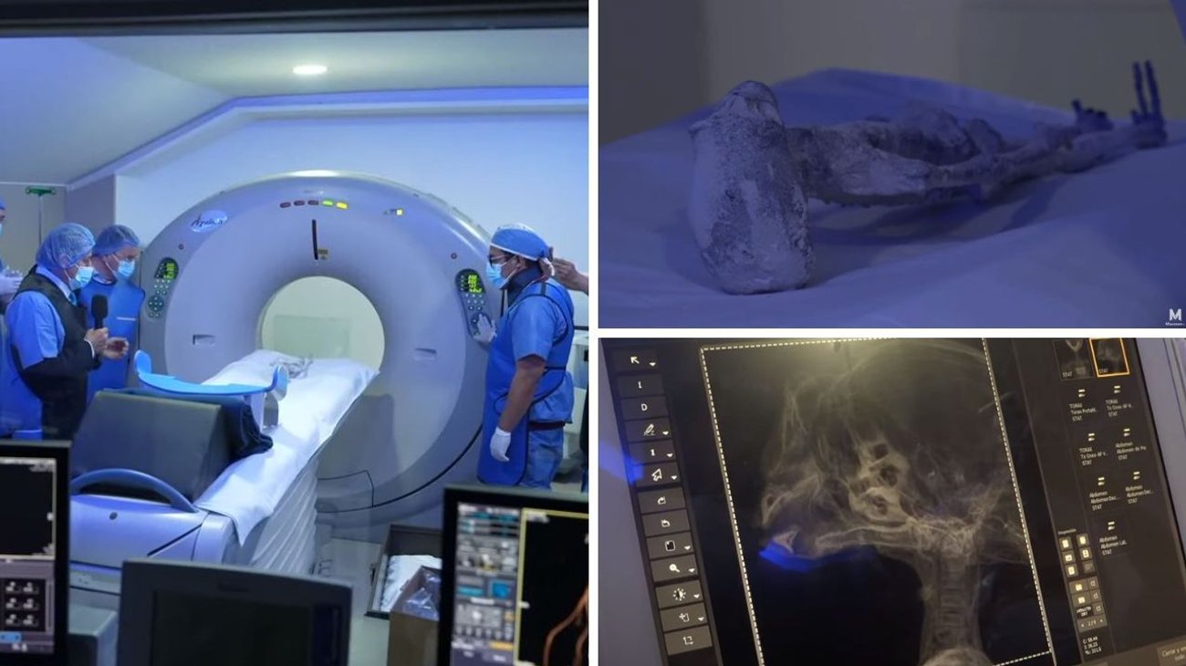 Expertos analizan ‘restos no humanos’ en transmisión en vivo