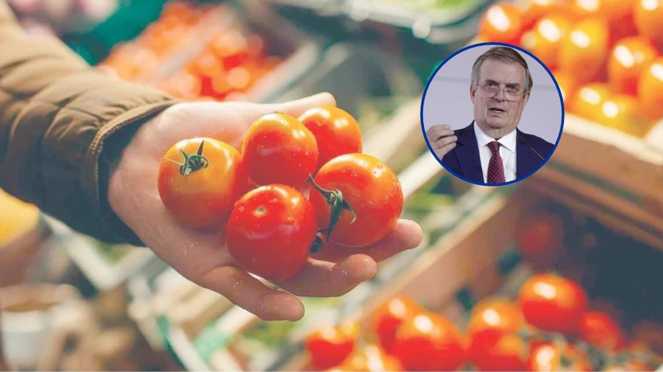 'Cuota al tomate mexicano encarece precios en EUA': Ebrard