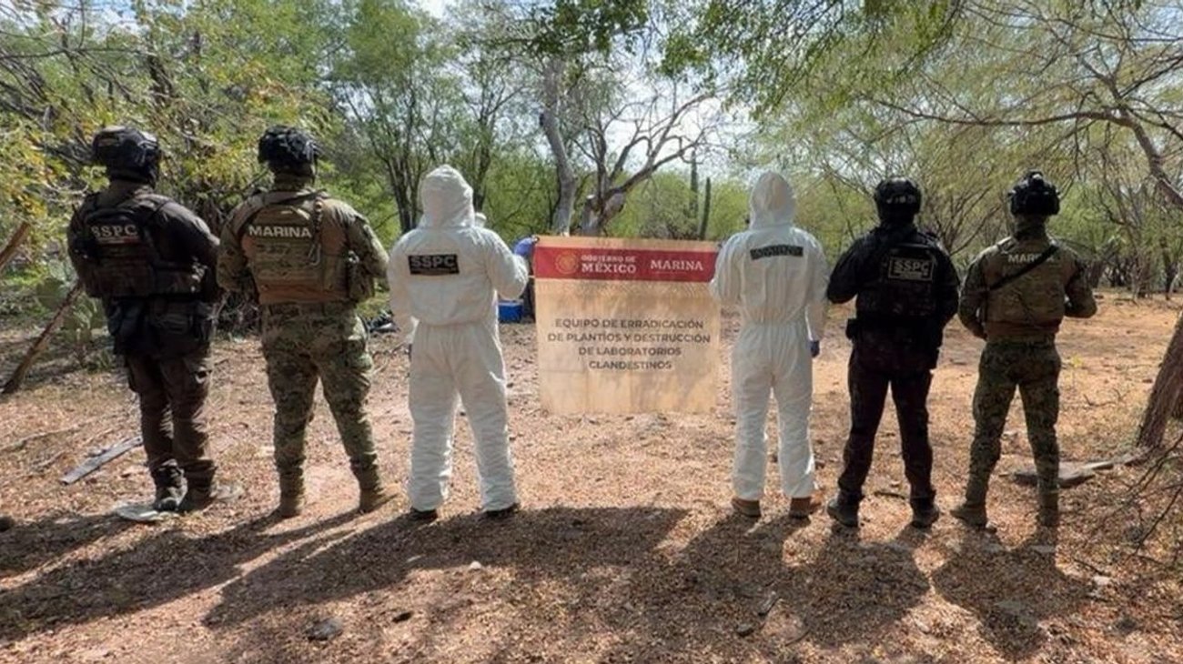 Hallan laboratorio clandestino de metanfetamina en Sinaloa