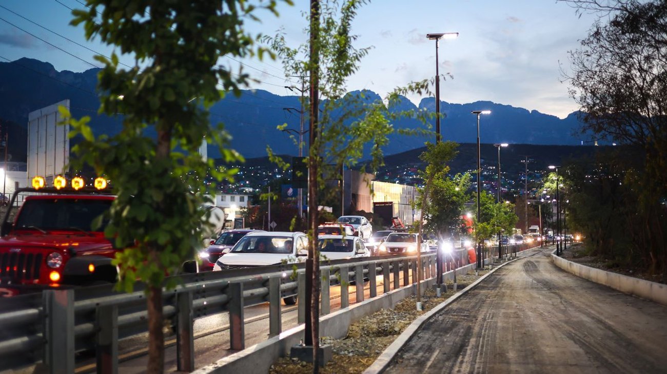 inicia_arbolizacion_circuitos_lineales_morones_prieto_84d1db58e9