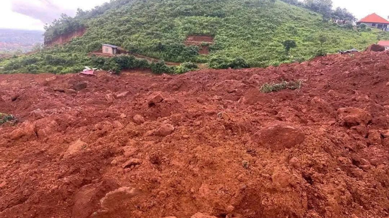 inter_deslave_guinea_6ba21c8ace