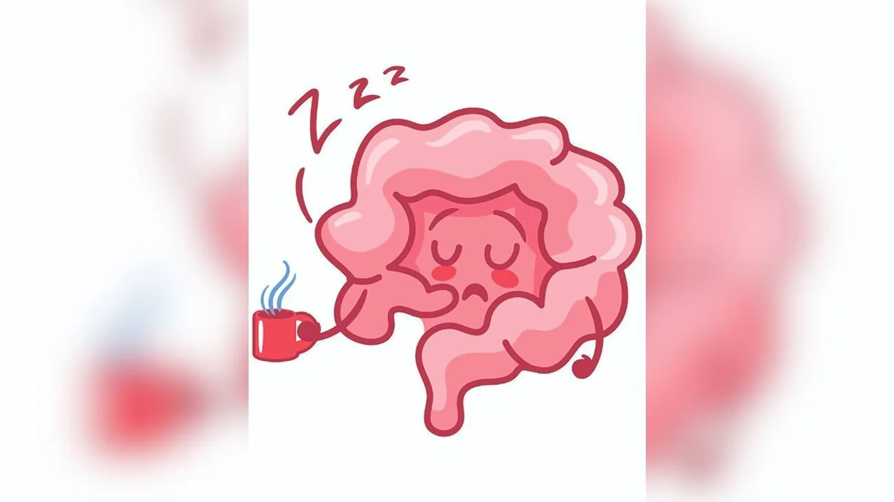 intestino_perezoso_95a813ae5b