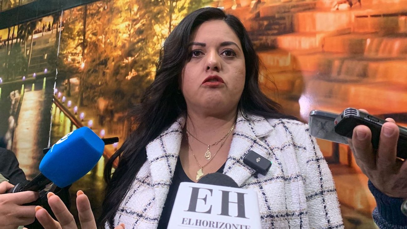 Iniciativa medioambiental de gobierno es simulación: PAN