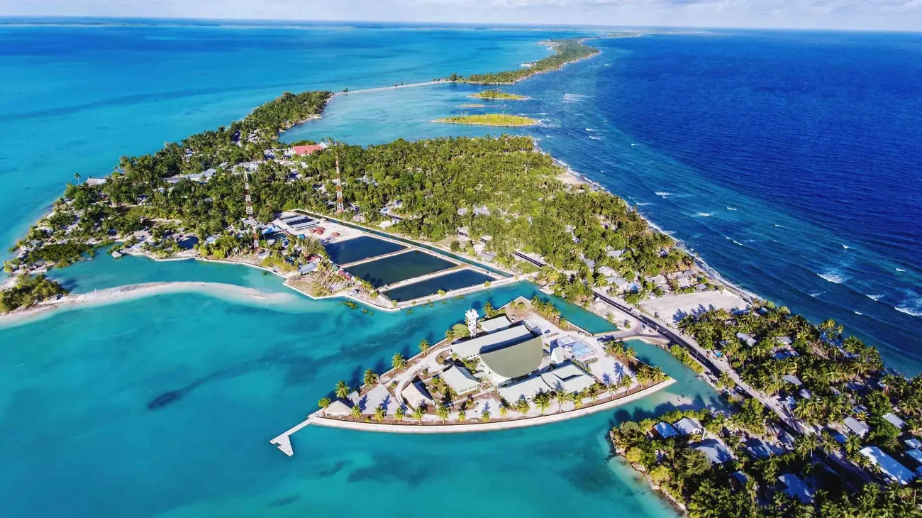 j_I_Vkn4d99_Vmi_S_Ek8_J_Fq8p_Xq_Bg1_CY_Maedgni1_YRMG_14bdda58a0