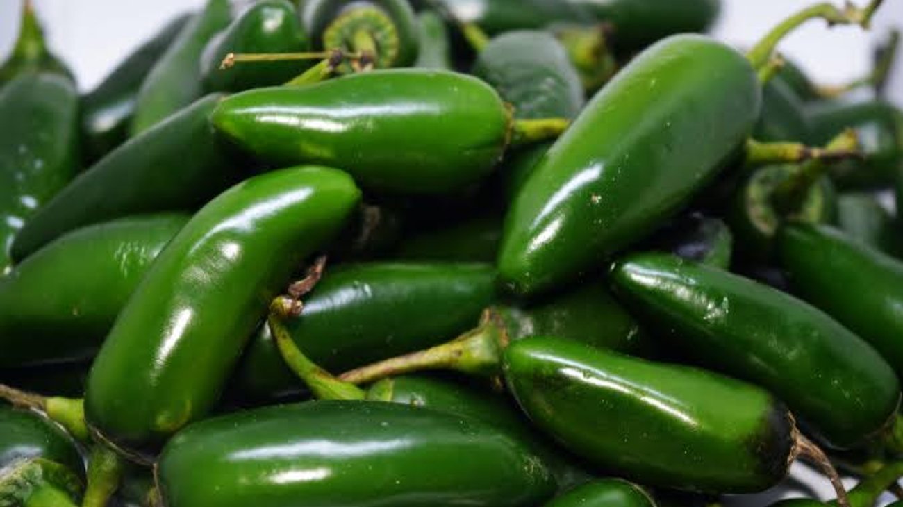 Brote de salmonela en EUA deja 345 casos por jalapeños mexicanos