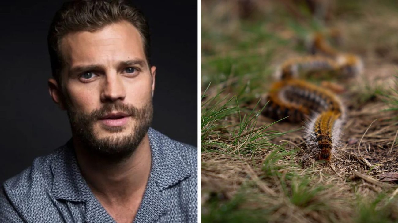 Jamie Dornan sufrió síntomas de ataque cardíaco por oruga