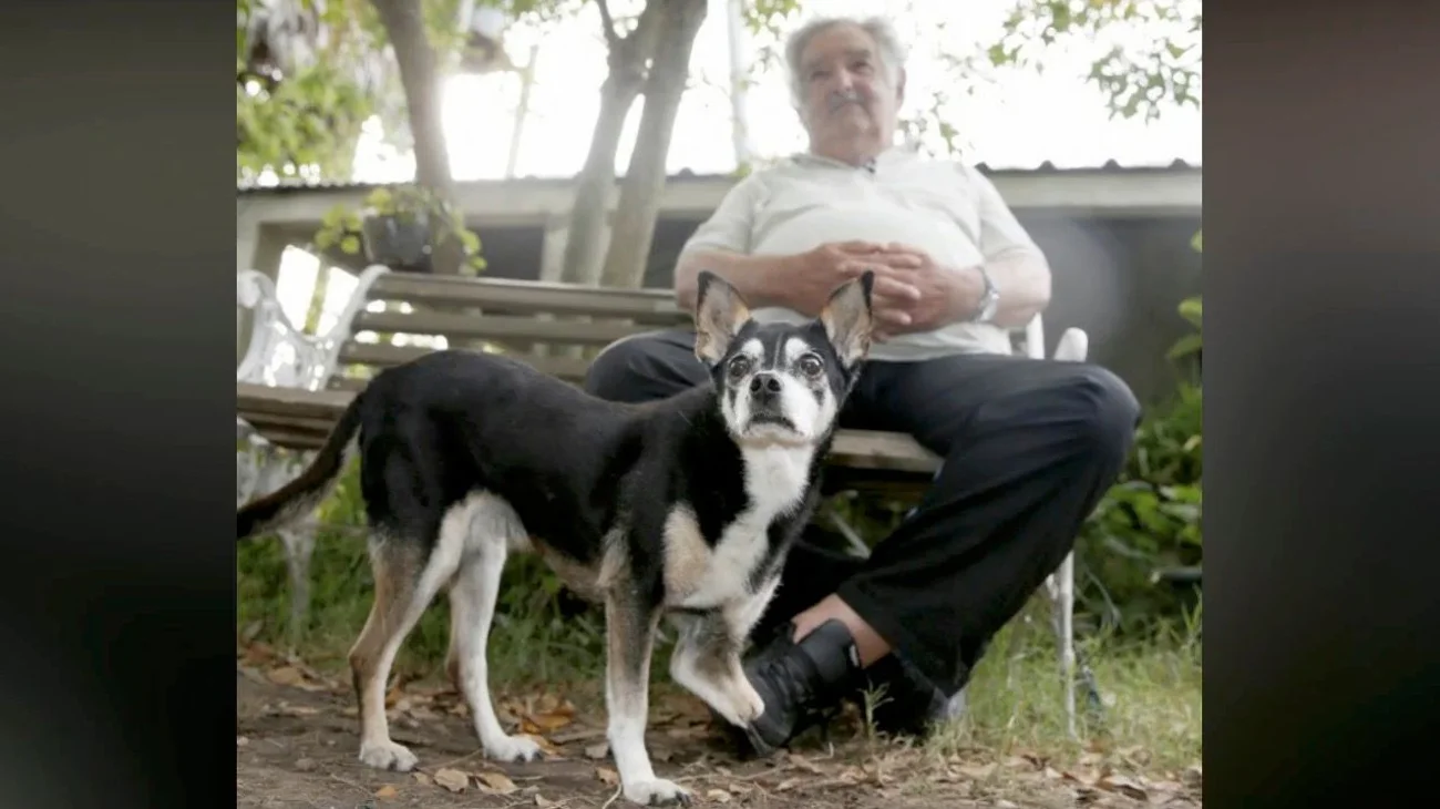 El deseo de Mujica: ser enterrado junto a su perra Manuela