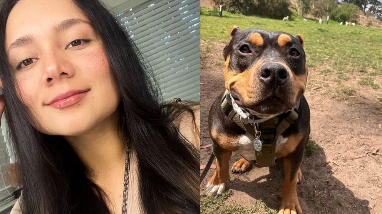 Joven lucha por su vida tras ataque de sus perros en EUA