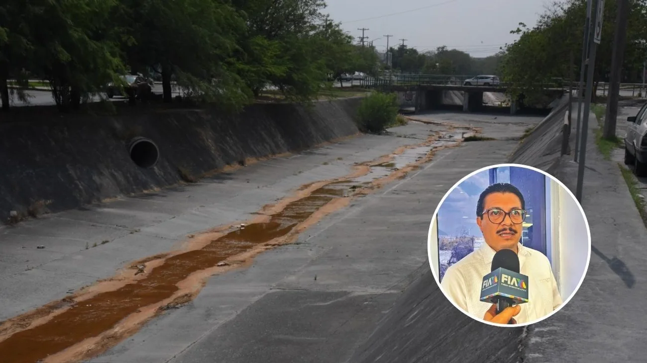 la_talaverna_profepa_f34d52fa23