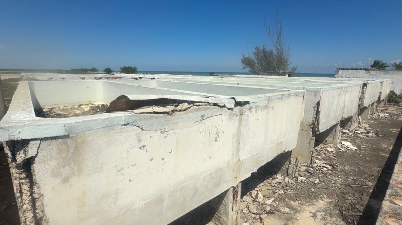 Queda en el olvido Laboratorio de Camarón en La Pesca