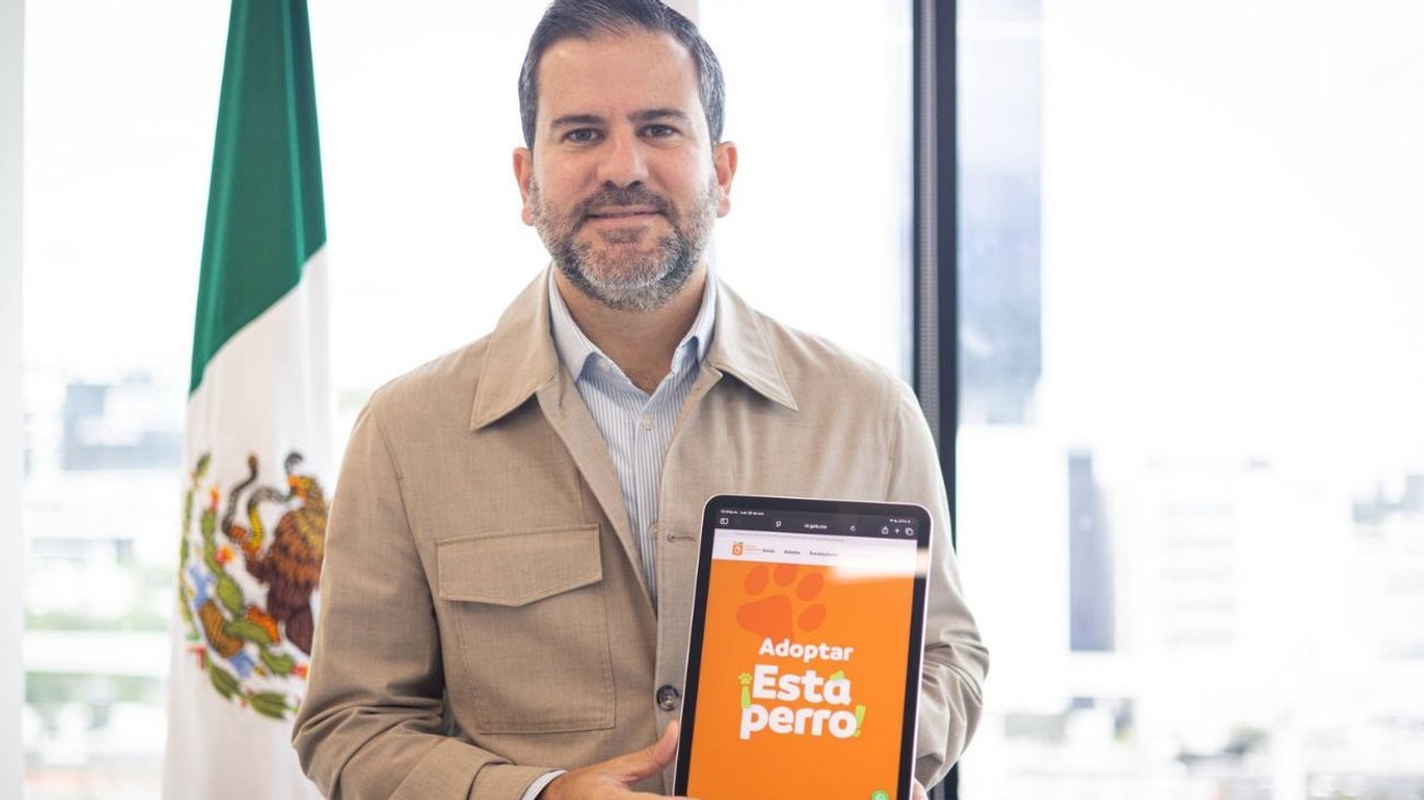 Nuevo León promueve adopción de mascotas rescatadas mediante app