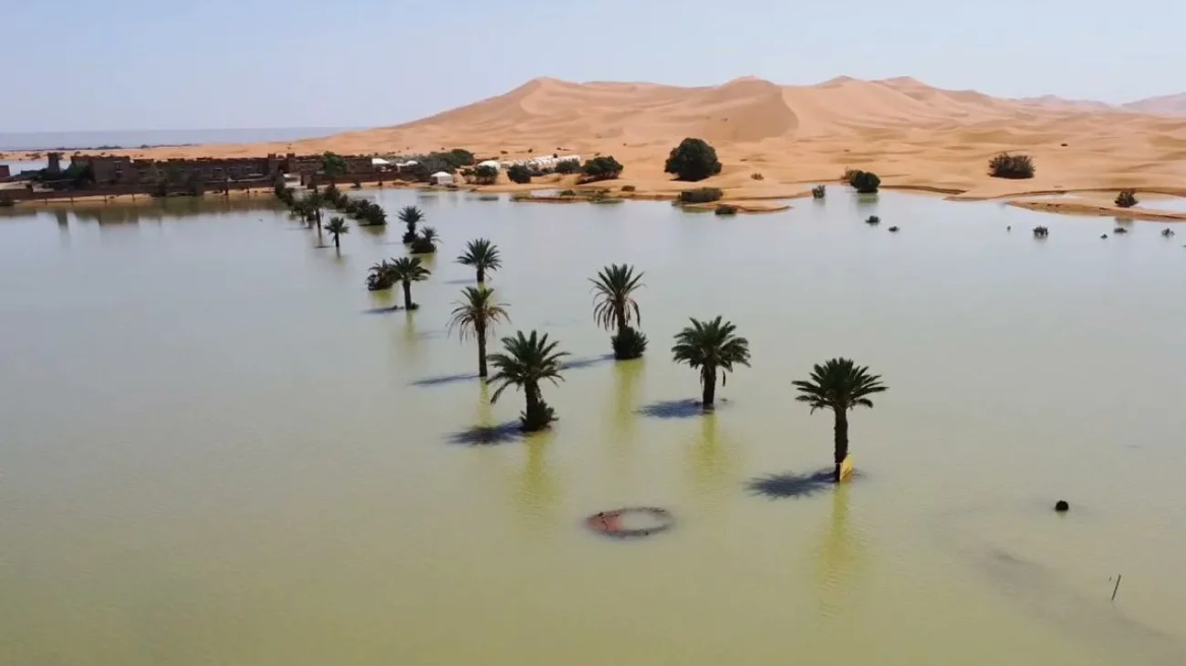 Se inunda el desierto del Sahara tras 50 años de sequía