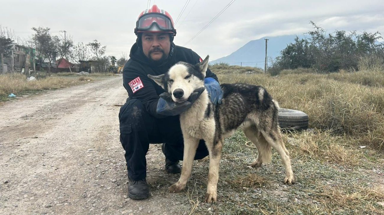 Rescata Protección Civil de Escobedo a perrito