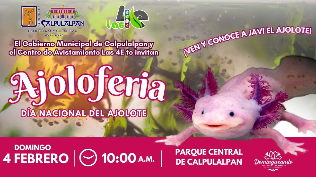 Por primera vez realizarán Ajoloferia por el día del ajolote