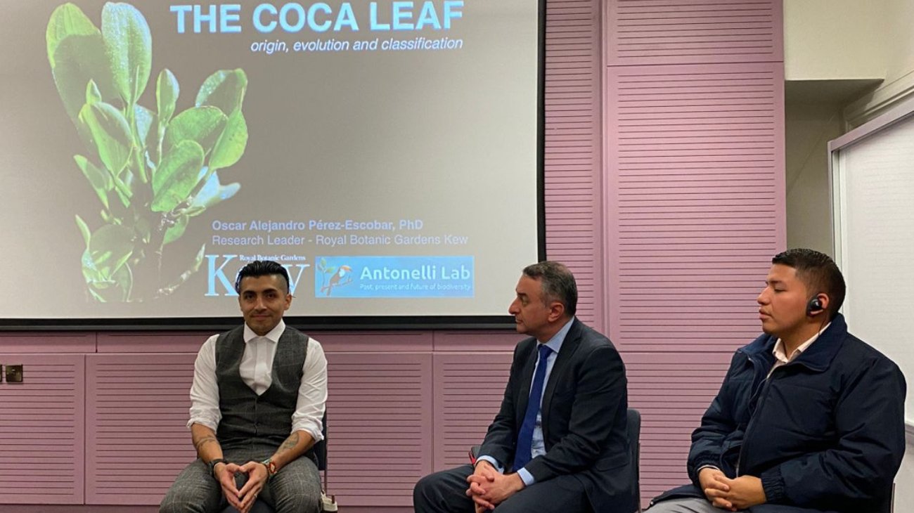 Buscan romper el estigma de la planta de coca en Colombia