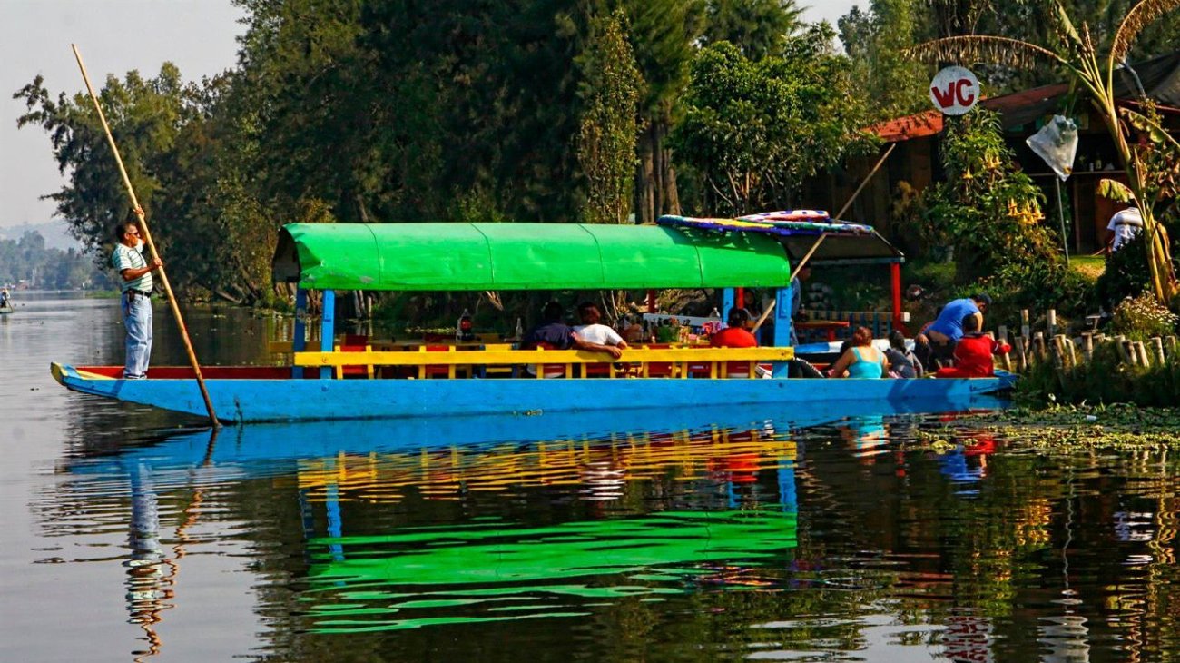 Recolectan peces muertos en Xochimilco por agua contaminada