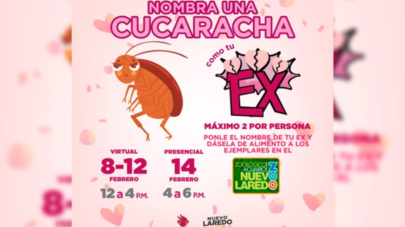 Zoológico propone bautizar cucarachas con el nombre de tu ex
