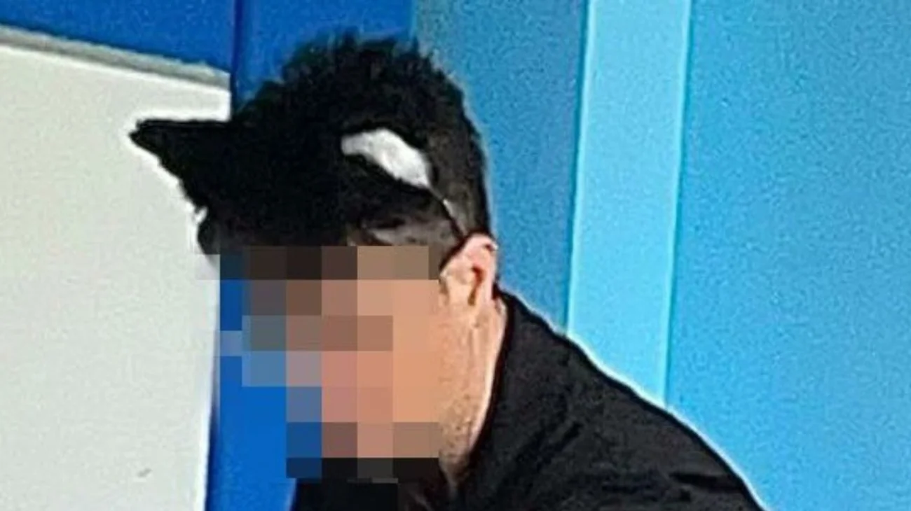 Maestro se identifica como gato en clases y genera polémica