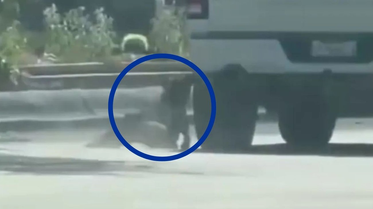 Difunden video de presunto maltrato animal en Ciudad Acuña