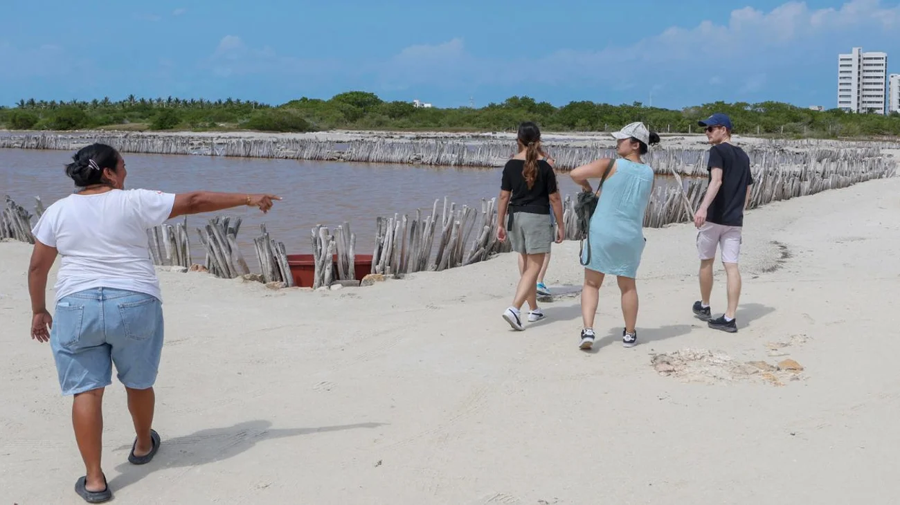 Peligran manglares en Yucatán por plan de agua potable