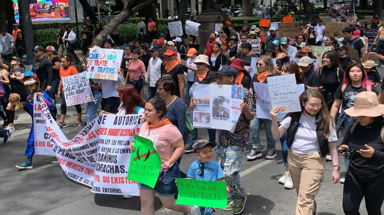 marcha_maltrato_animal_eb2d6190e7