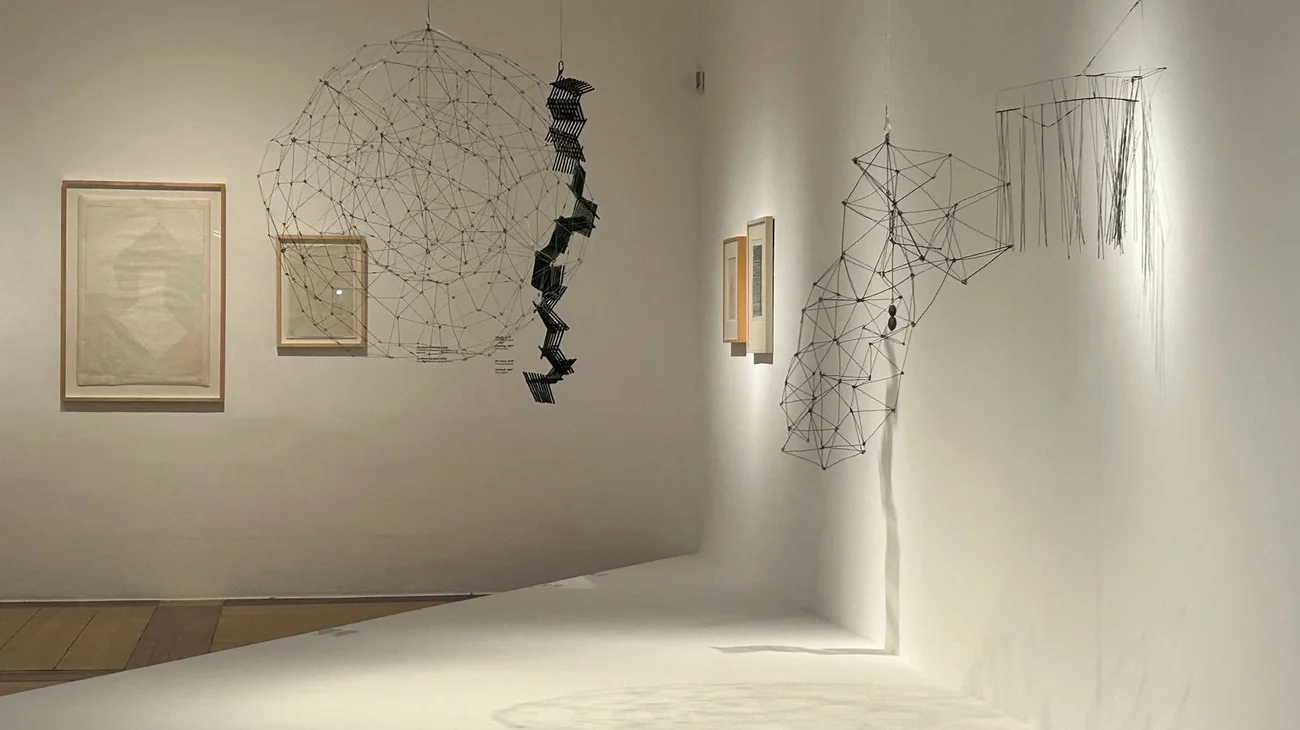 Inaugura MARCO colección de Ella Fontanals – Cisneros